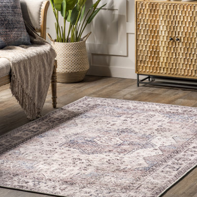 Sharyn Traditional Vintage Cotton Area Rug