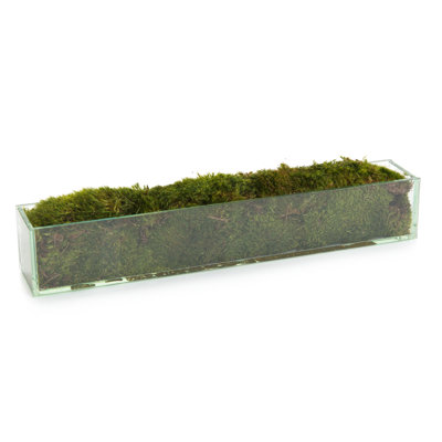 Faux Moss Plant in Glass Jar