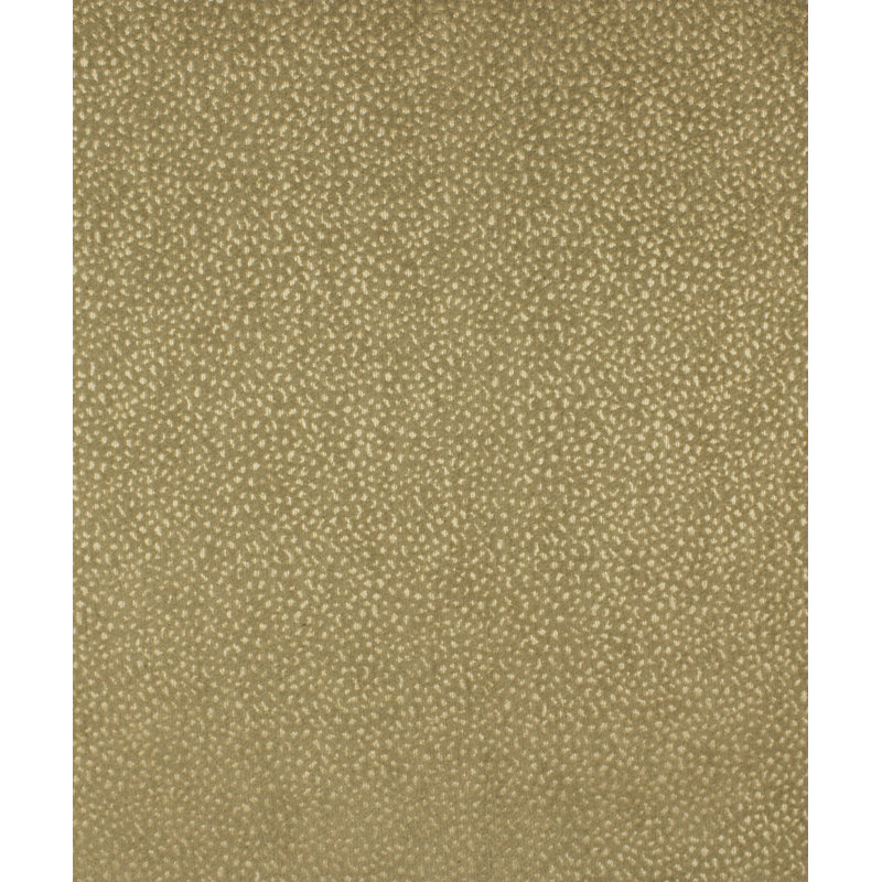 Nassau Fabric