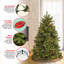 The Holiday Aisle® Newberry Spruce Tree with Dual Color LED Lights-1054227251
