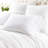 Cozy 400 Thread Count 100% Cotton Sheet Set-84973689-84973688