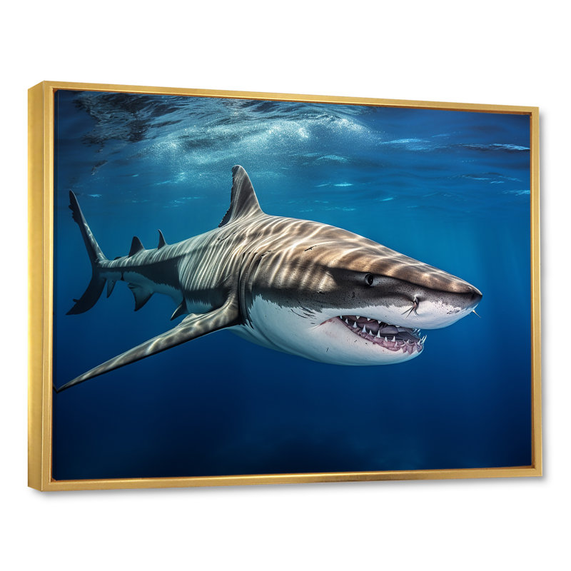 «Tiger Shark Territory I» sur toile, Cadre flottant doré, H 12 po x l 20 po x P 1 po