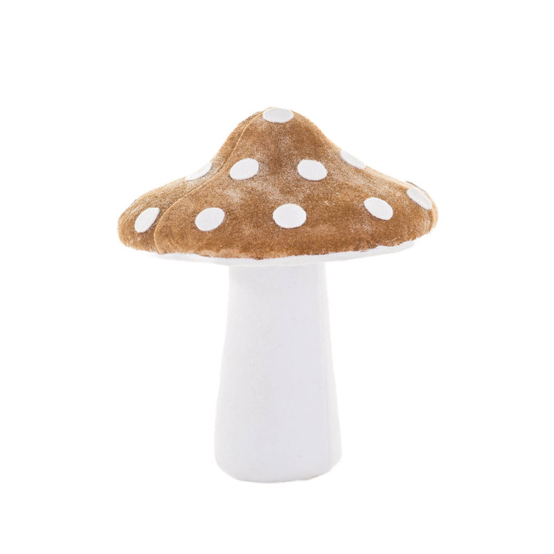 Champignon blanc légèrement scintillant, Brun / blanc