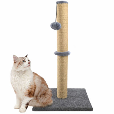 Cat Scratching Board