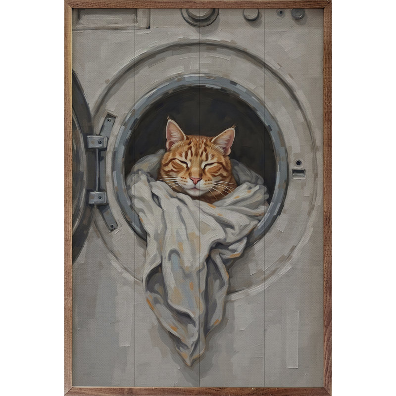 Chat orange dans la machine à laver, H 24 po x l 16 po