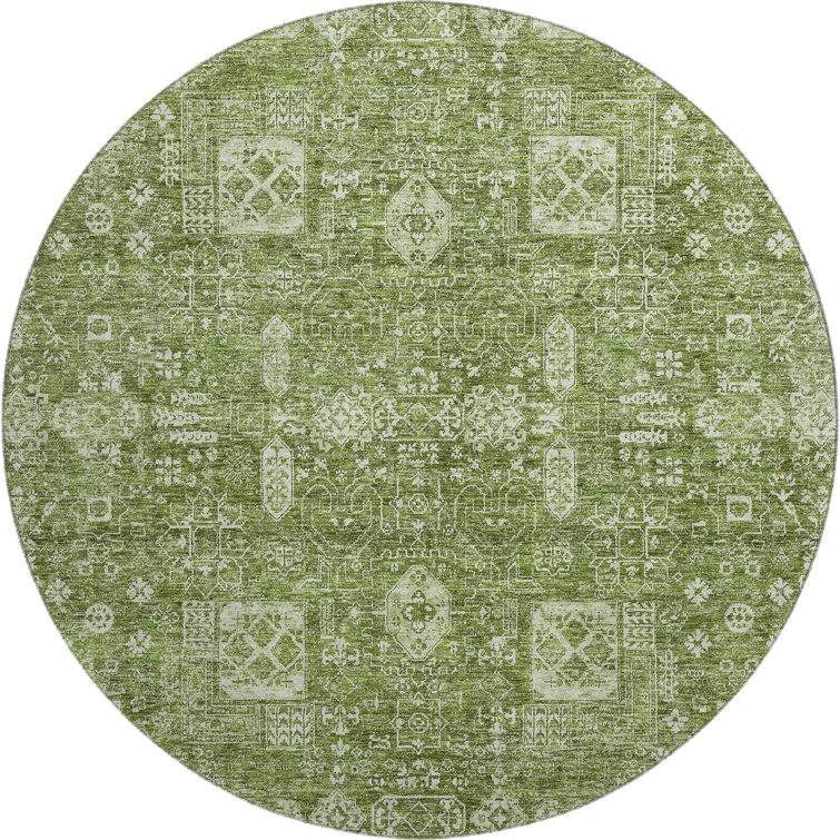 Premium Machine Washable Cerrito Aloe Rug