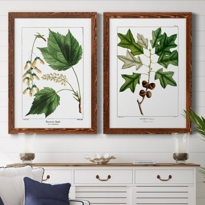 " Mountain Maple " 2 - Pieces
