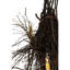 Twigs 15 - Light Chandelier