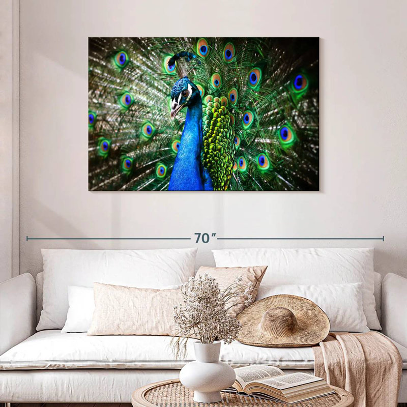 Peacock Show