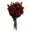Plastic, Silk Artificial Arrangement-88685033