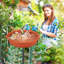 Metal Birdbath-905264576