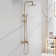 Multi Functional Shower Head