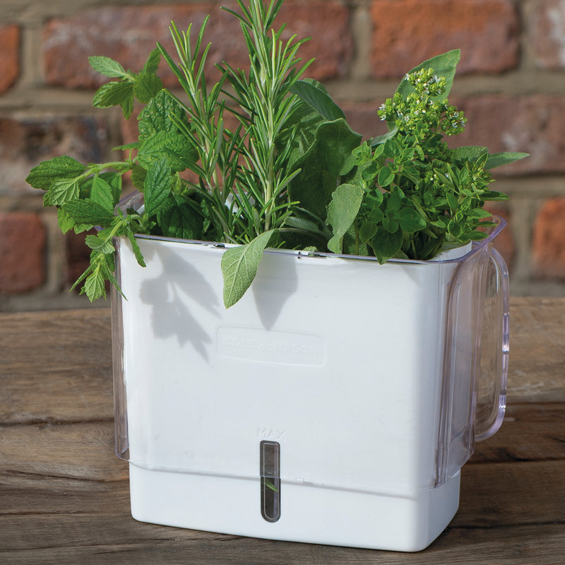 Cole & Mason Self Watering Fresh Herb Keeper Plastic Pot Planter