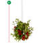 Ornement boule suspendue pailleté Mistletoe