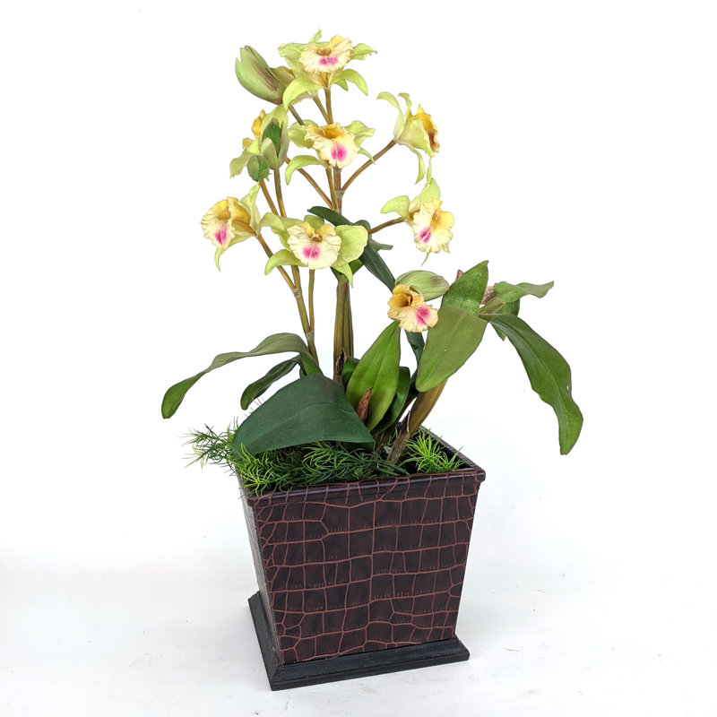 Pot à fleurs en bois Antoinetta