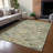 Machine Washable Indoor/Outdoor Chantille ACN2473 Global Rug-769965606-769965604