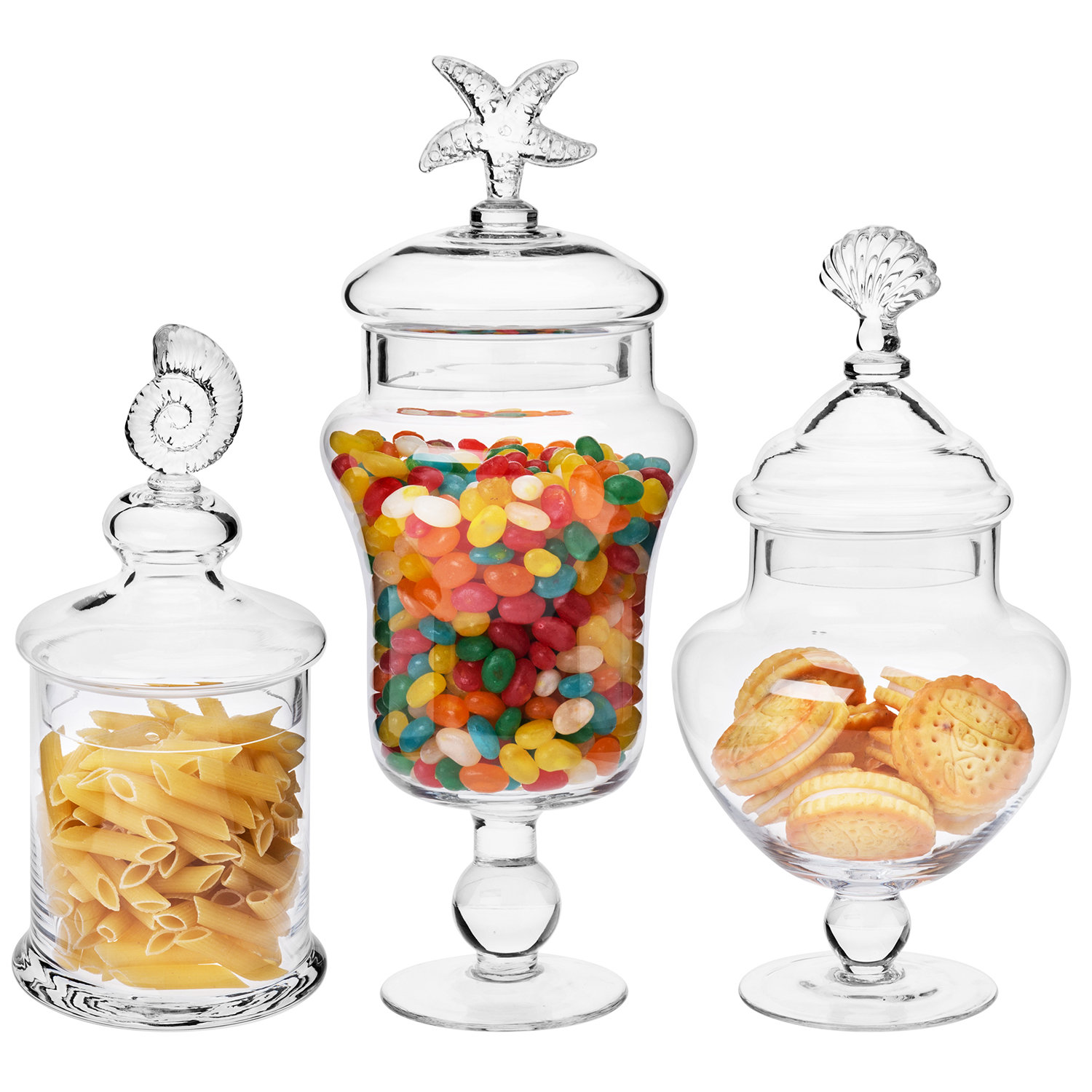 4 Piece Clear Glass Apothecary Jar Set (Set of 4) Willa Arlo Interiors