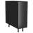 Maurus 2-door Accent Storage Cabinet with Shelving Black
