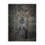 Art sur toile «ologic Amro Murderous Intent »-105646859