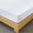 Rodrigue 12“ Medium Gel Memory Foam Mattress in a Box Infused with Green Tea-484224442-518624343