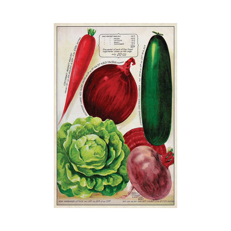 Antique Seed Packets XI - Wrapped Canvas Gallery-Wrapped Canvas Giclée, 45.72cm H x 30.48cm W x 1.91cm D