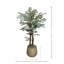 Organic Modern 4.5' Faux Moringa Tree