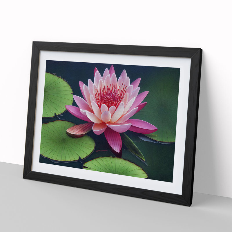 Watercolour Water Lily Flower Vol.2 - Single Picture Frame Print, Black, 46cm H x 64cm W