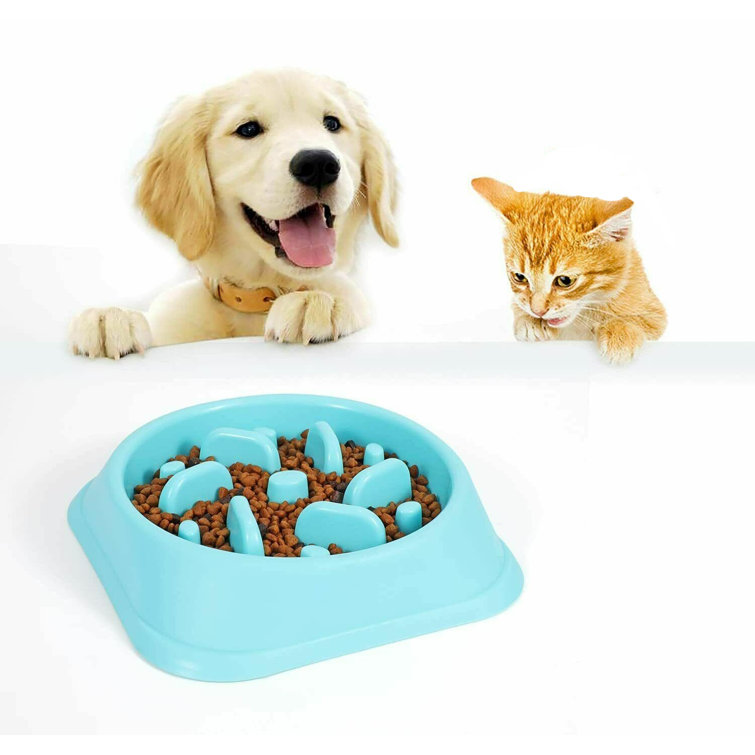 Pet Slow Eating Dish Bowl Cat Dog Anti Choking Puppy Slow Feeder Food  Dispenser