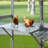 Eather Chicken Run-405637231-405637229