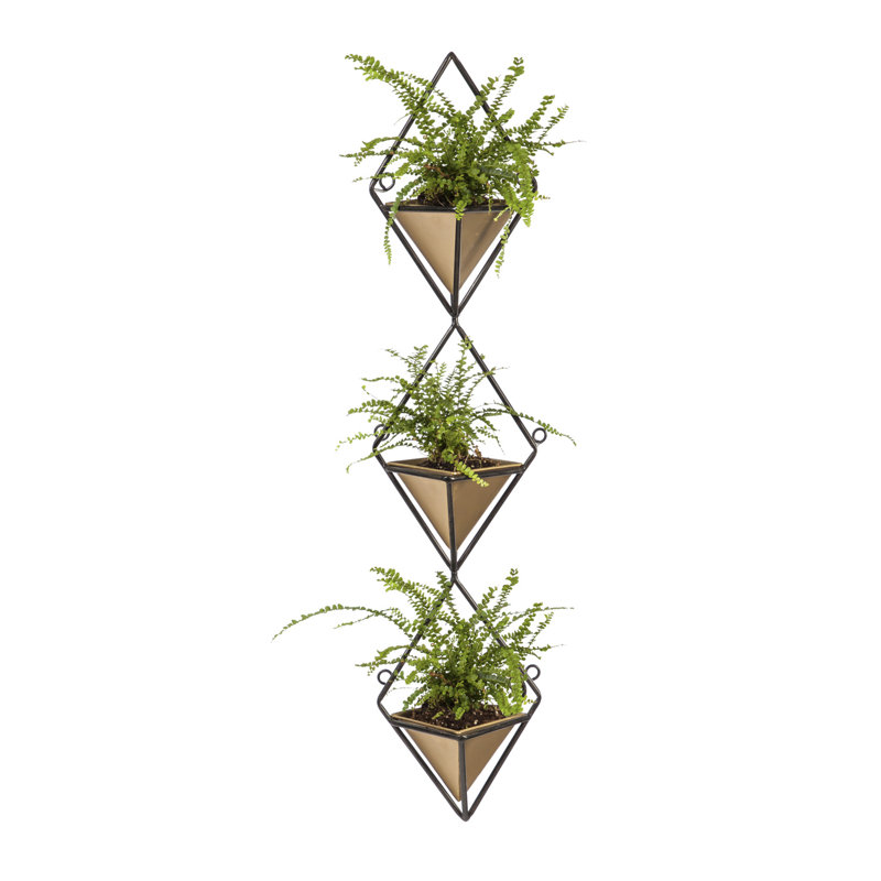Trio Rhombus