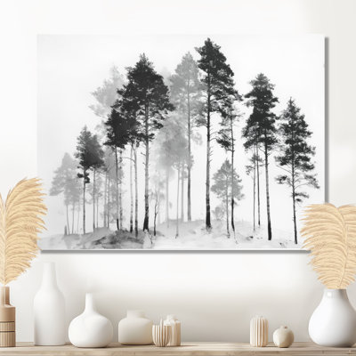 Black And White Tall Pine Tree Forest - Pine Canvas Art, Black Nature Wall Art