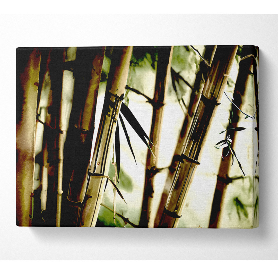 Bamboo Stalks - Kunstdrucke auf Leinwand