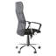Wade Logan Abba Mesh Office Chair with Headrest