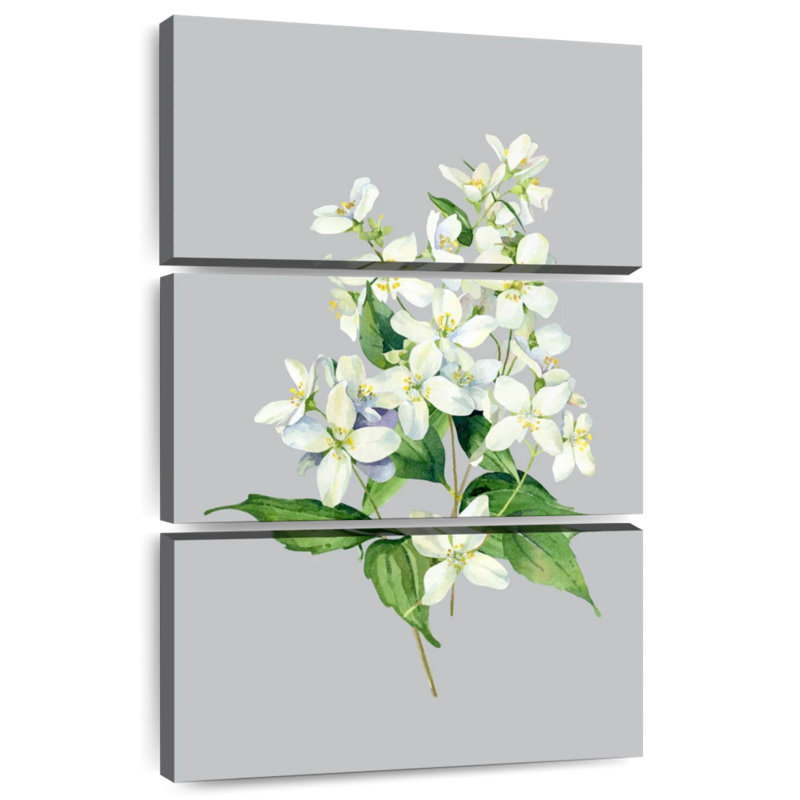 Fleurs de jasmin Harnek