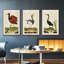 Heron Portrait IV, ensemble de 3 toiles encadrées-97792420-97792417