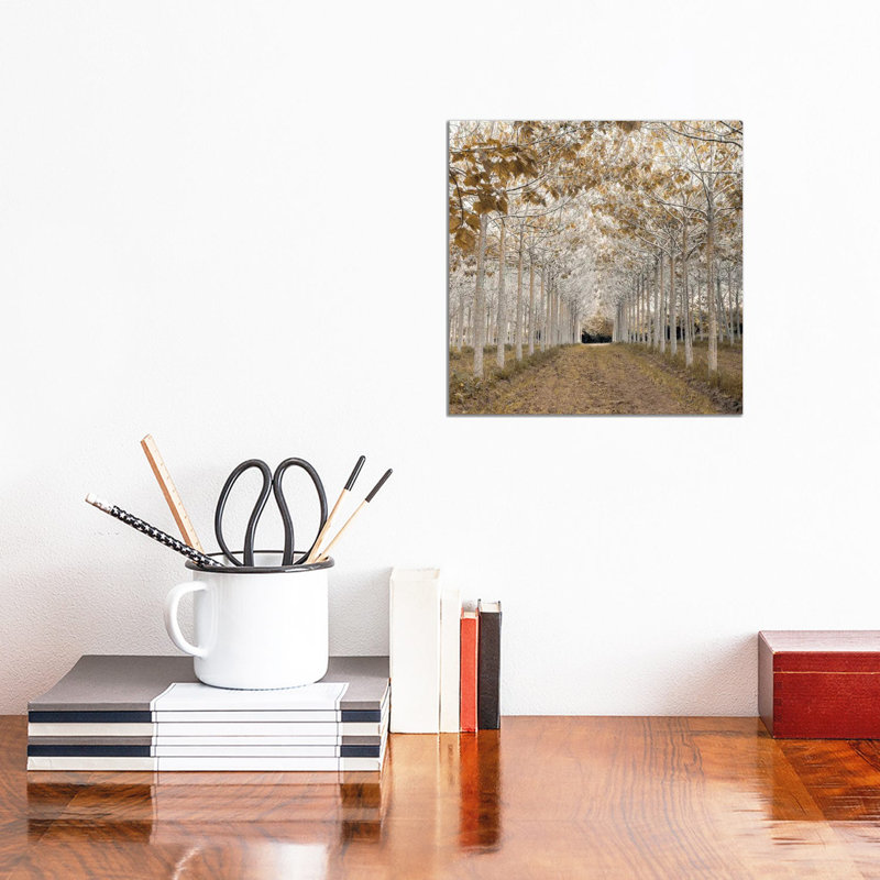 " White Gold " by Assaf Frank, No Frame, 48" H x 48" W, Wrapped Canvas