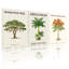Plantes et fleurs, ensemble de 3 reproductions d'art sur toile-1702378257