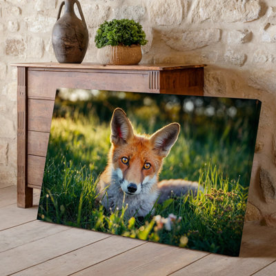 Toile, "Gros plan d'un renard roux dans un luxuriant", prairie verte pendant l'heure dorée avec lumière du soleil douce et chaleureuse, créant un art mural naturel sur toile