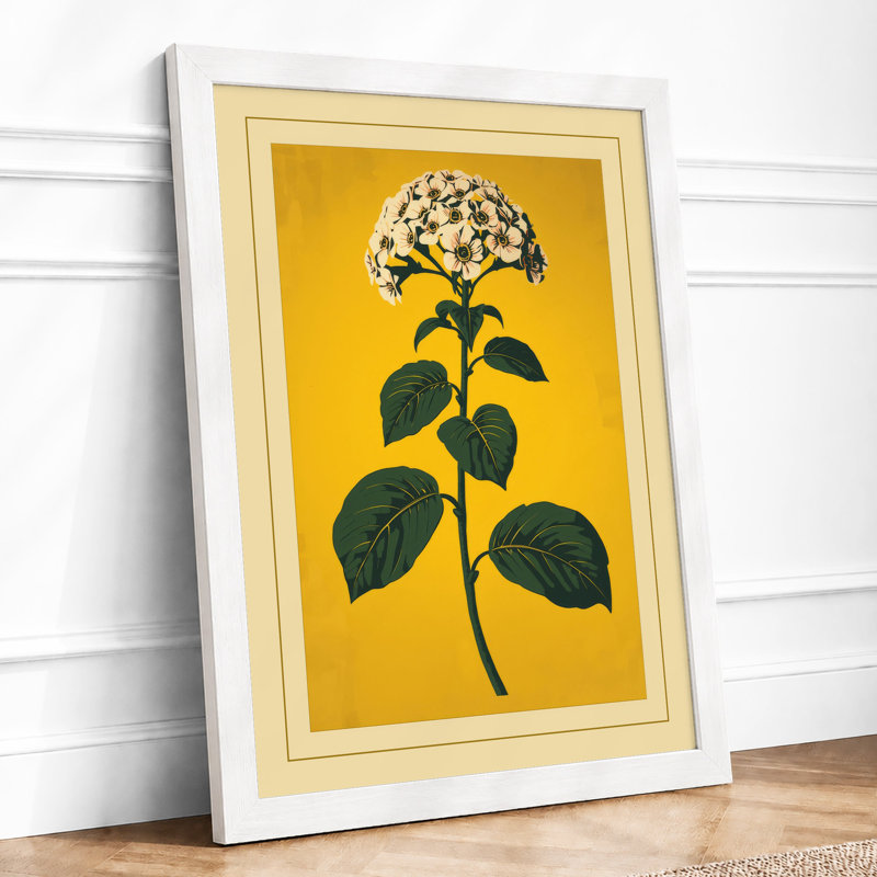 White Flower Study Botanical - Print, A4 - 29.7 x 21.0 cm, White