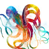 Pieuvre In Dreams II Print by Sofia Fox
