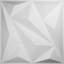 Panneau mural blanc 19,625 "H x 19,625"