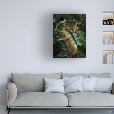 Art sur toile Anna Shvab