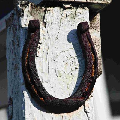 " Rusty Horseshoe Photography "
