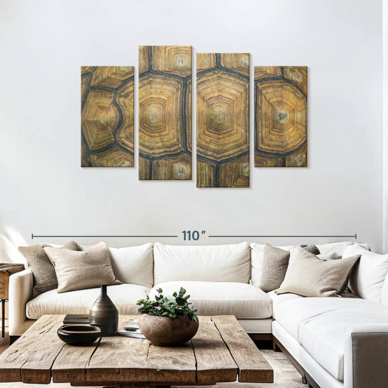 Brampt Giant Tortoise Shell, 48" H x 75" W