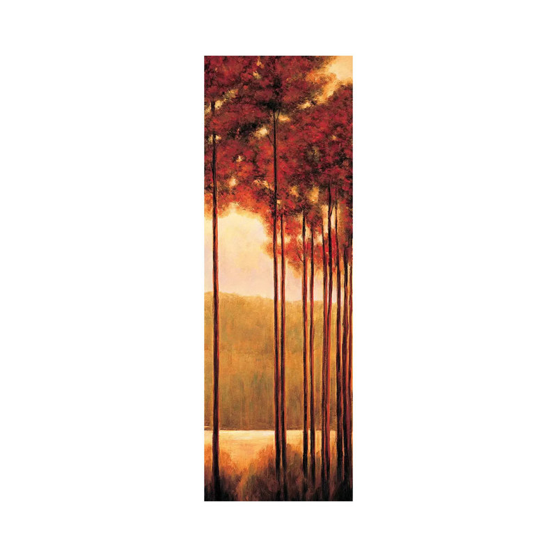 Through The Woods II by Neil Thomas - Wrapped Canvas Panoramic Gallery-Wrapped Canvas Giclée