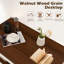 Kavel Frame Coffee Table with Storage