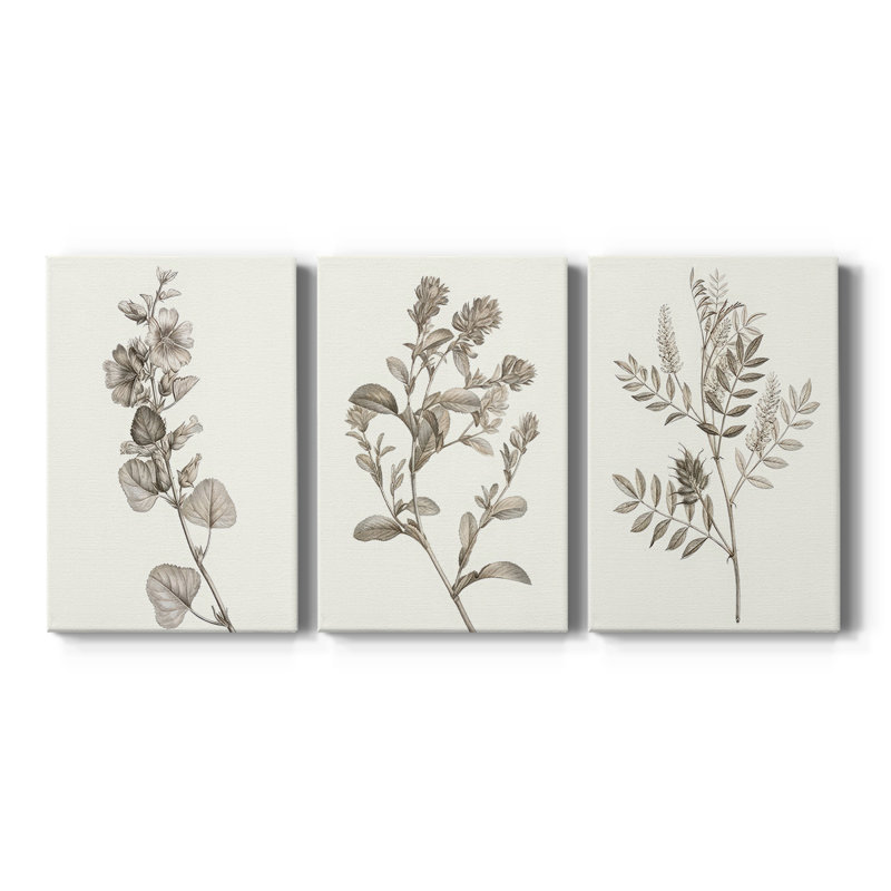 Neutral Botanical Study I - Toile tendue sur mesure avec châssis - 3 pièces, Toile tendue, H 12 po x l 24 po