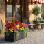 Planter-1988903648