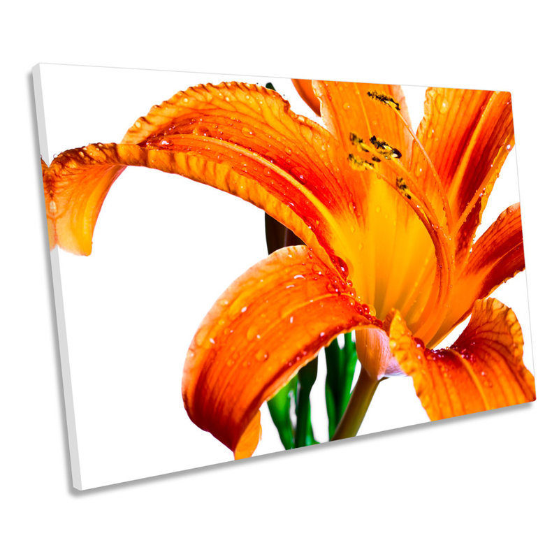 Orange Tiger Lily Floral Flower - Wrapped Canvas Print, 30.5cm H x 45.7cm W x 2cm D