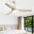 Norbu 47" 3-ABS-Blade Modern Indoor/Outdoor Ceiling Fan with Dimmable LED Lights, Remote Control-530572709